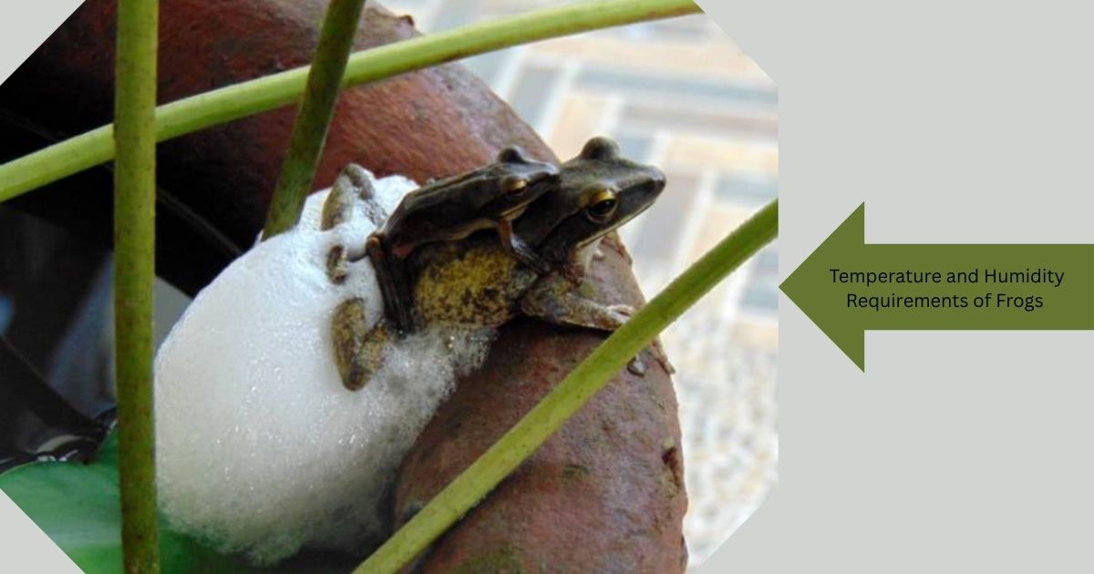 Where Are Frogs Found? Frog Habitats Guide 2026