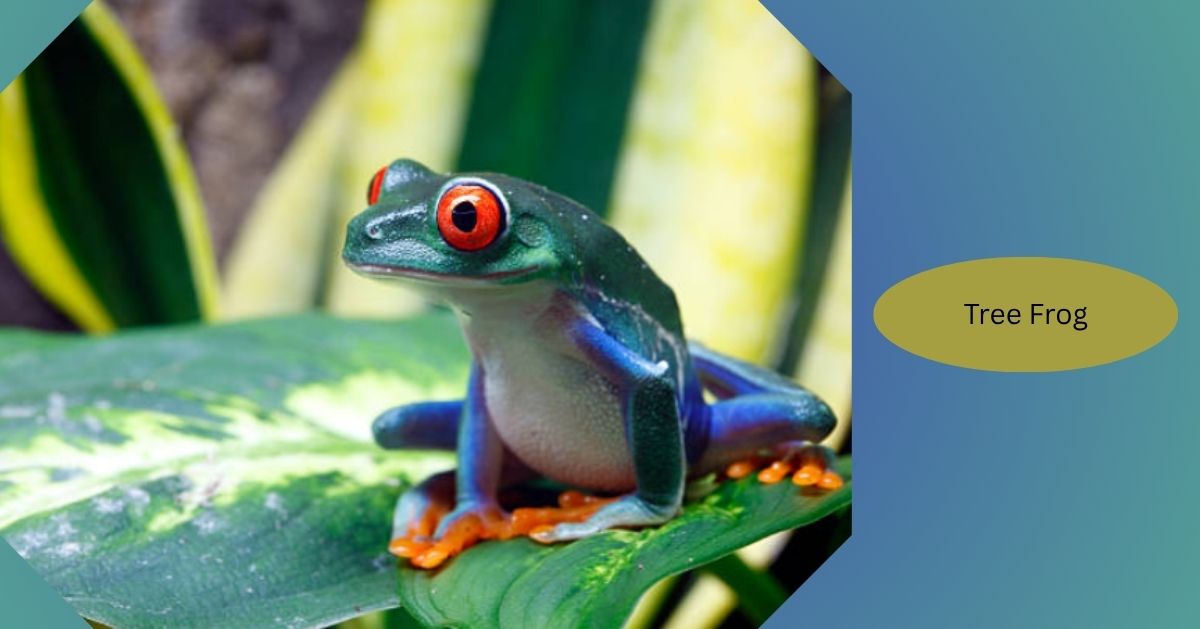 Frog Facts: Amazing Facts About Frogs (Complete Guide 2026)